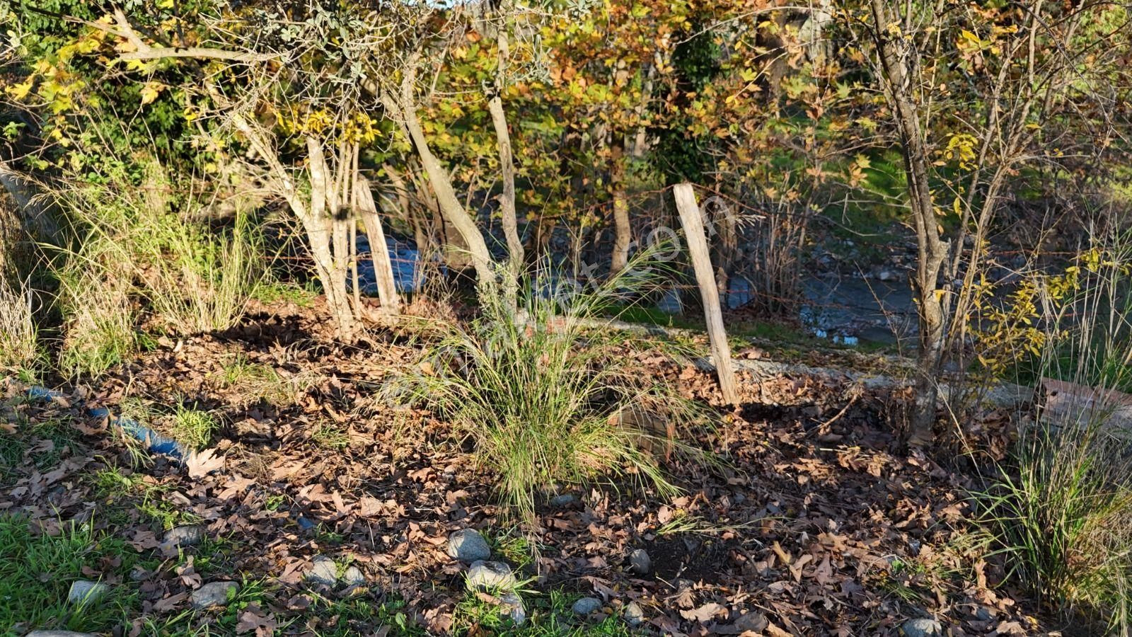 Golden Globy, Havran İnönü'de Satılık 5,5 Dönüm Bahçe - Görsel 20