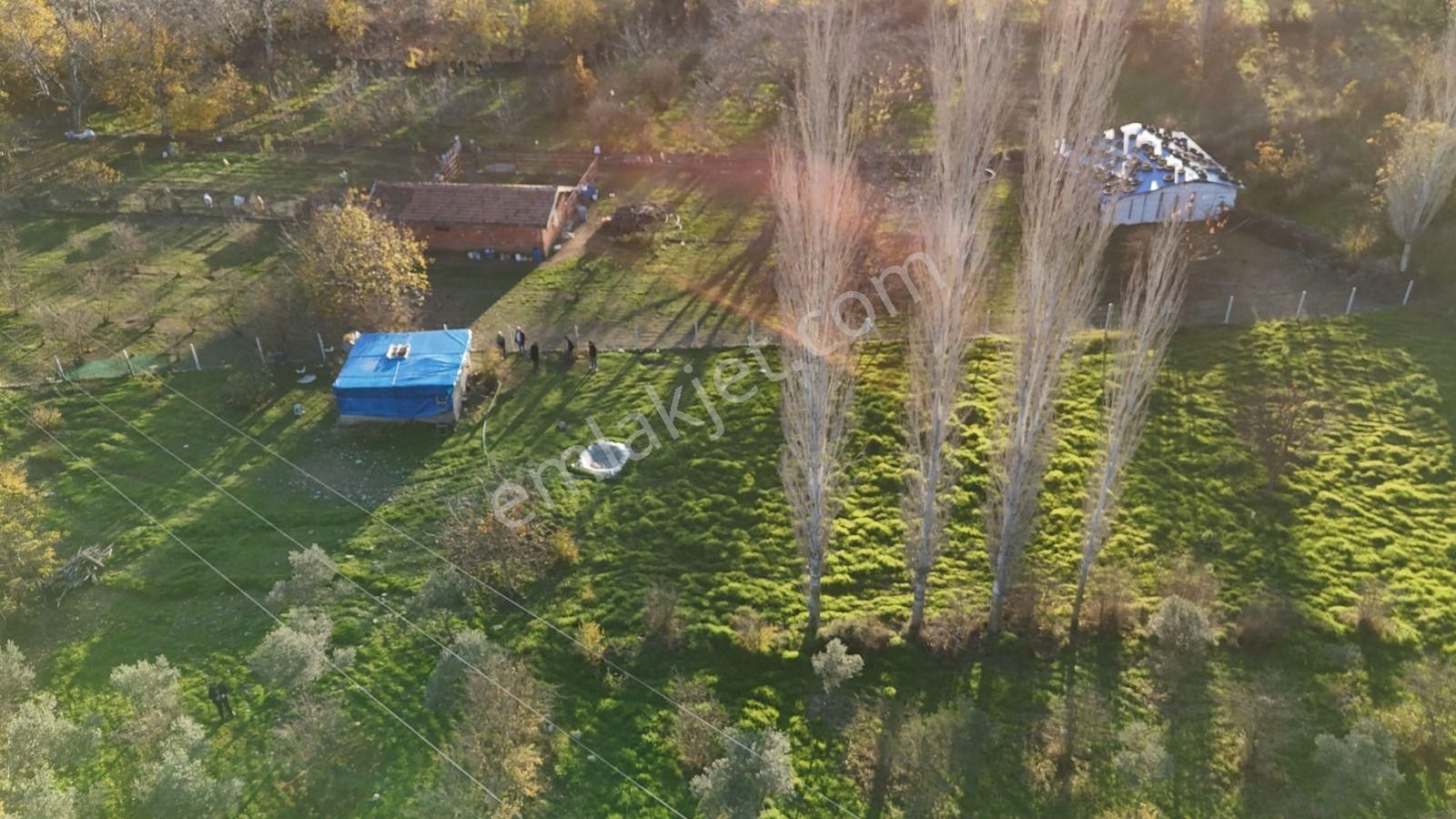 Golden Globy, Havran İnönü'de Satılık 5,5 Dönüm Bahçe - Görsel 10