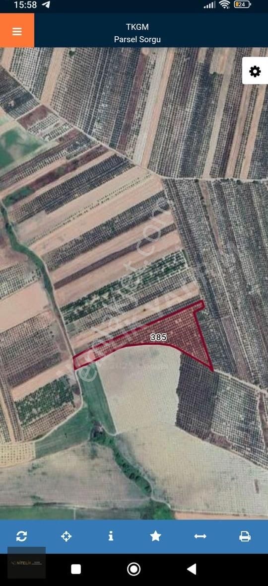 Karacabey İsmetpaşada Satılık 21150 M2 Tarla