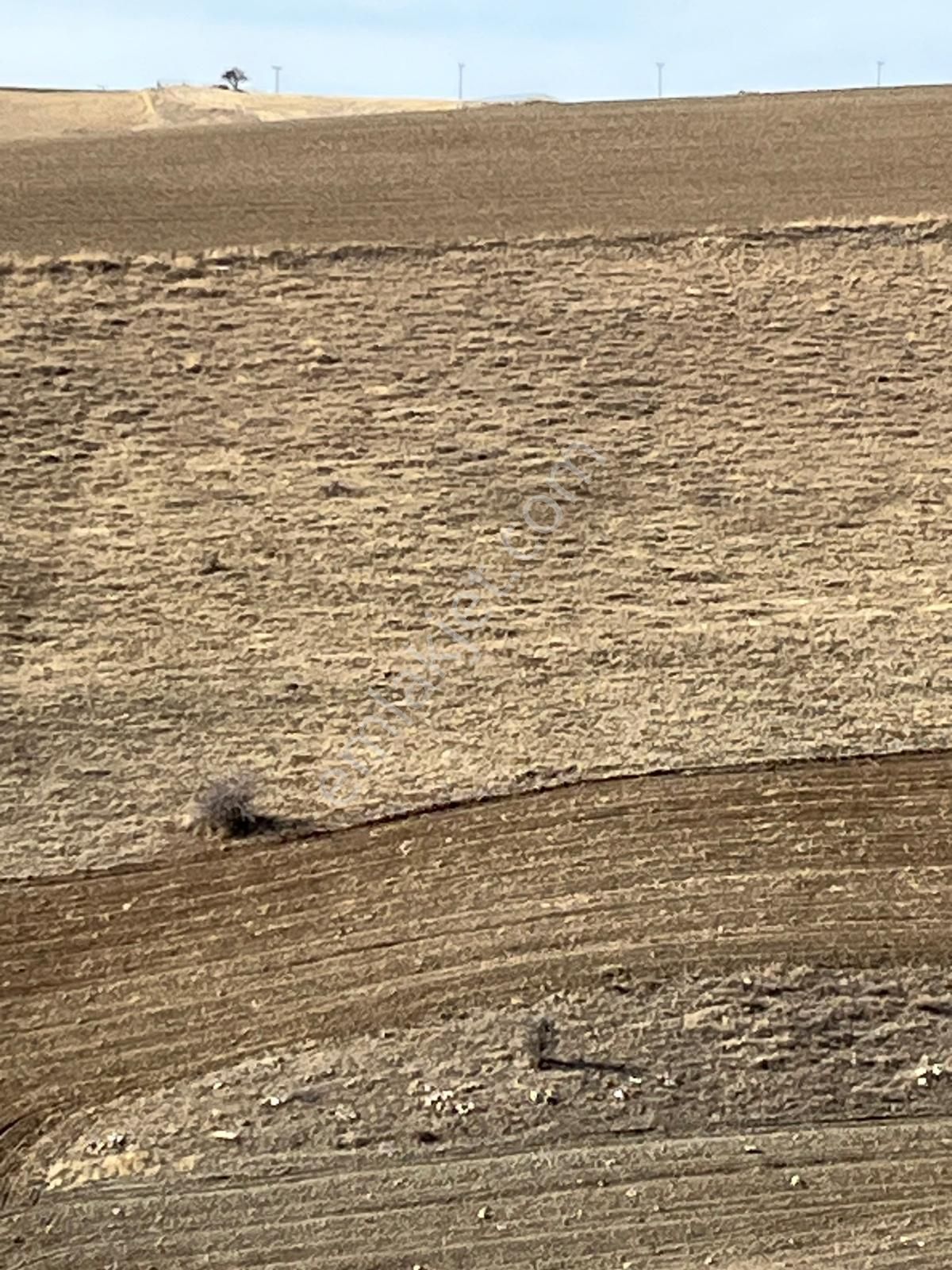 Cb Sıtkı Şimşek'ten Hacılar Emsal Artış Bölgesinde Arsalar - Görsel 8