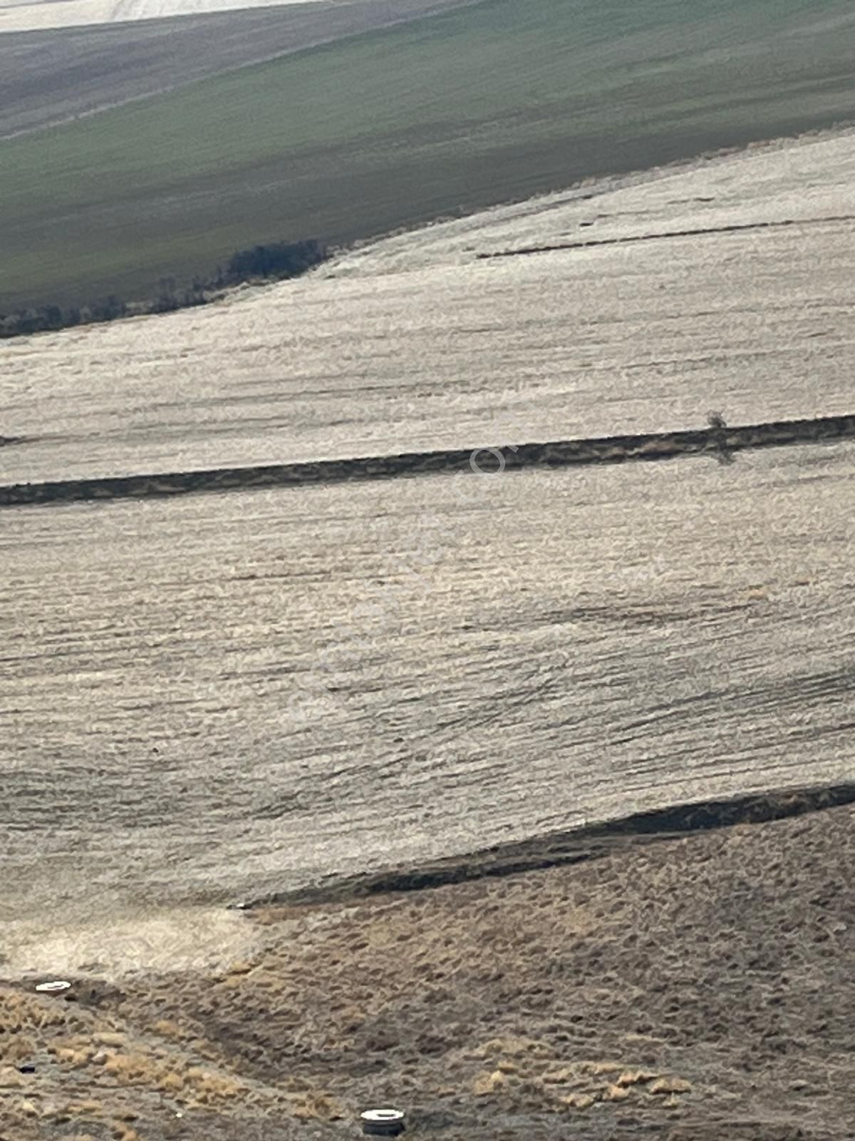 Cb Sıtkı Şimşek'ten Hacılar Emsal Artış Bölgesinde Arsalar - Görsel 7