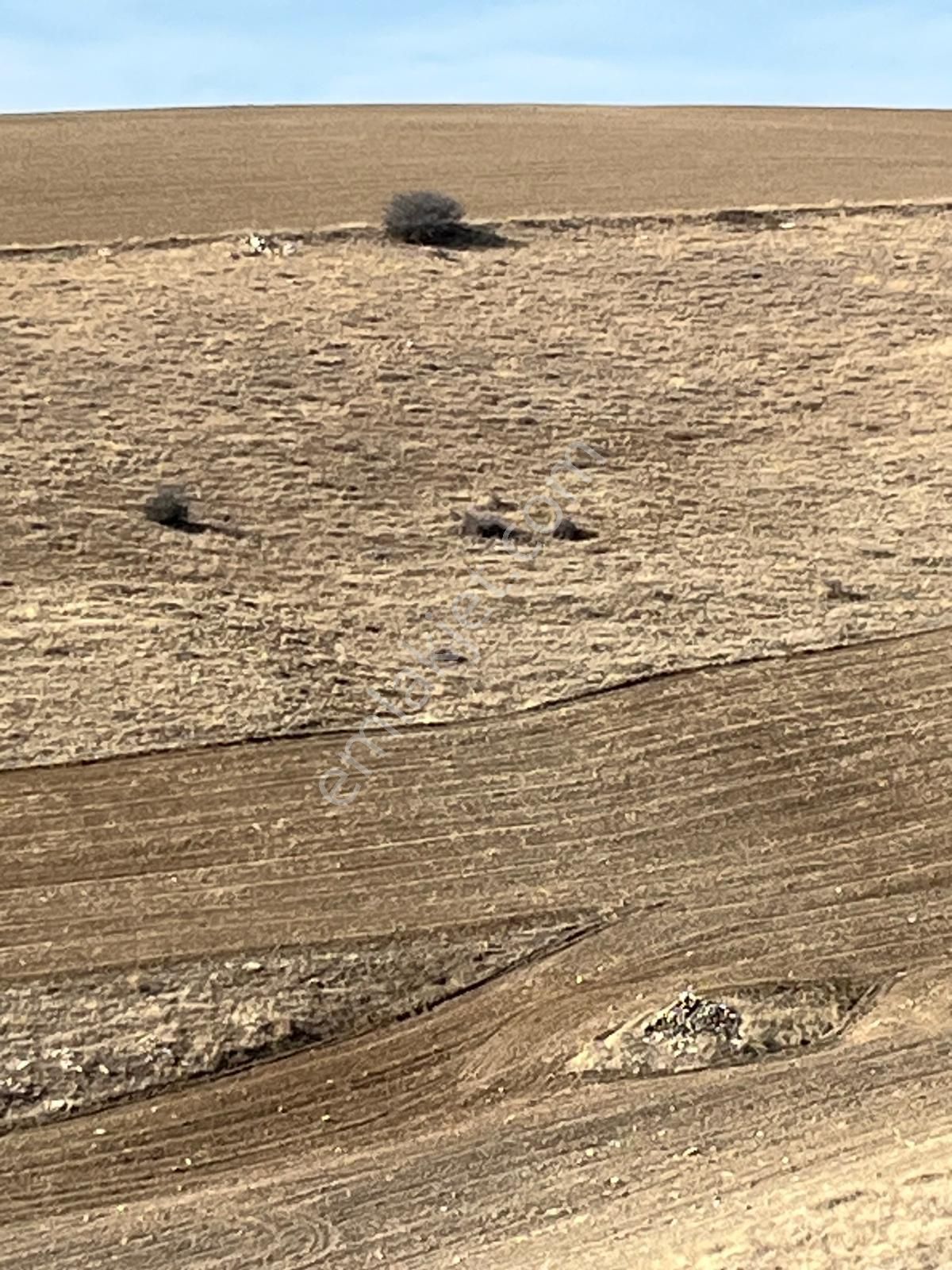 Cb Sıtkı Şimşek'ten Hacılar Emsal Artış Bölgesinde Arsalar - Görsel 12