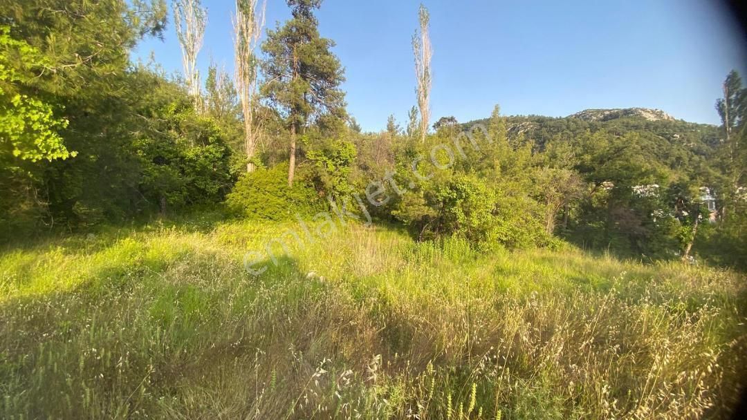 Kaş Kalkan Çamlıova Satılık Fırsat Araziler