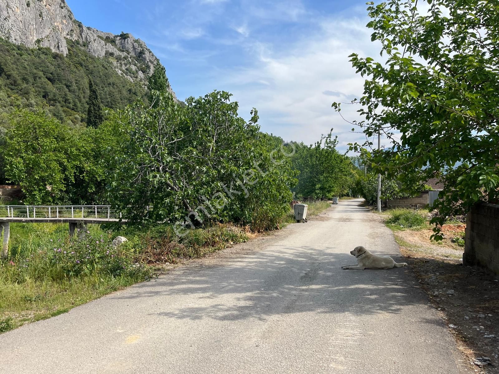 Nilvest'ten Bursa Kestel Narlıdere'de Müstakil Ev - Görsel 7