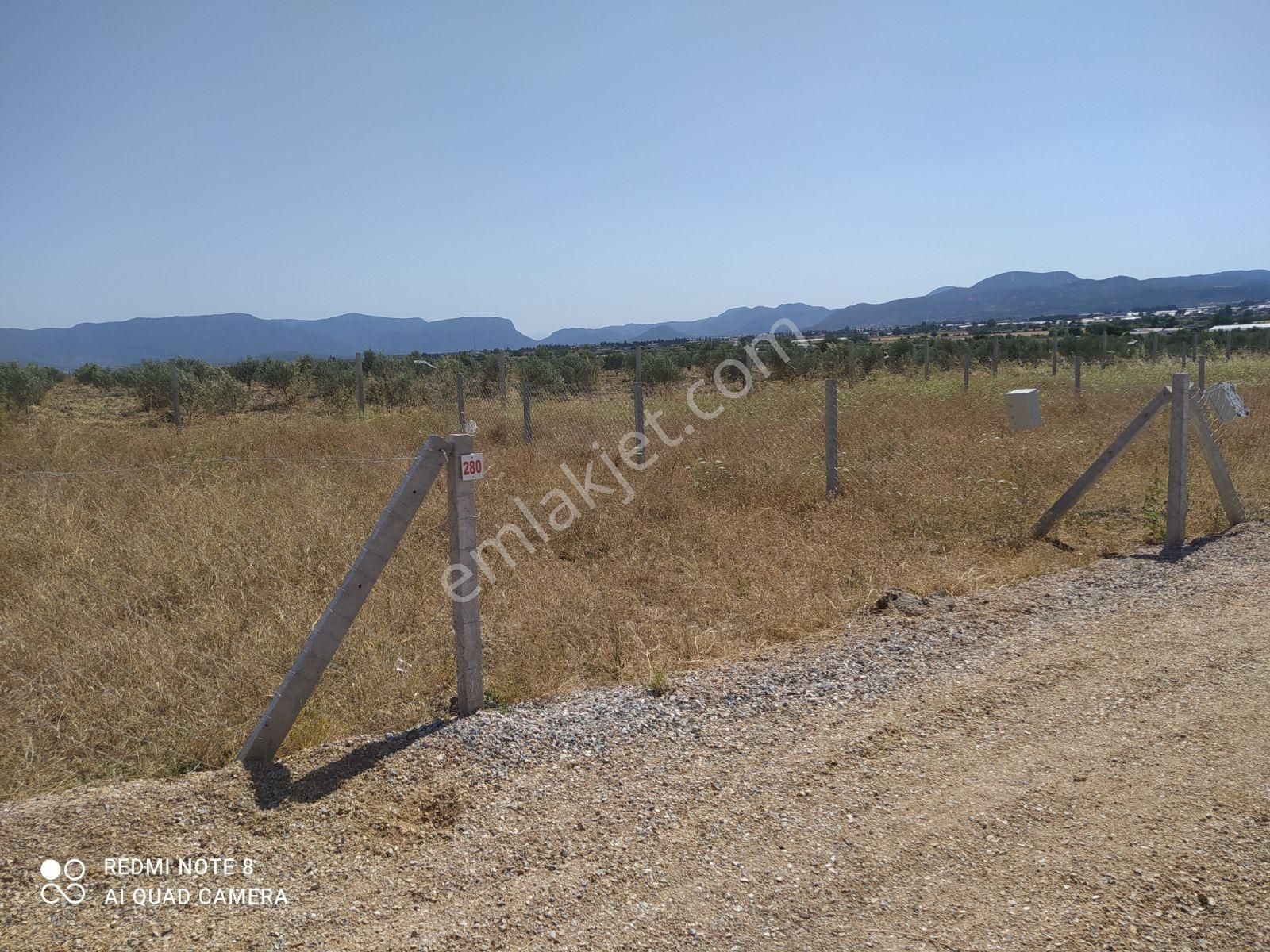 Menderes Hona Bölgesinde Harika Bahçeler - Görsel 19