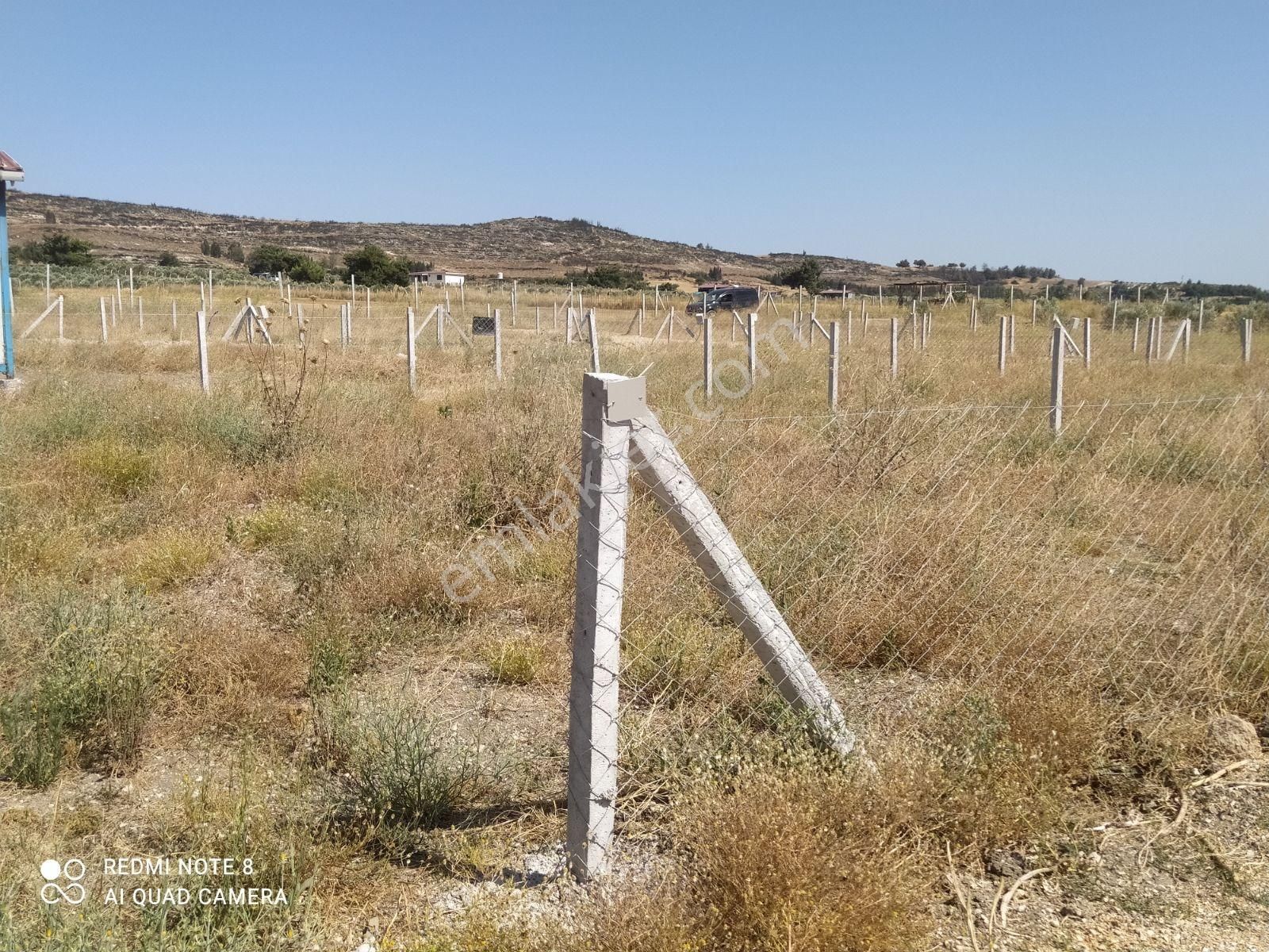 Menderes Hona Bölgesinde Harika Bahçeler - Görsel 4