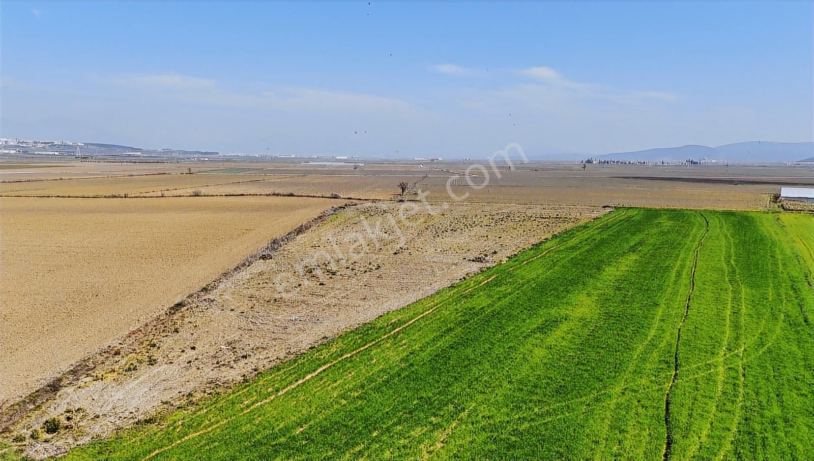 Çilemede Yatırımlık 9.500 M2 Tek Tapu Müstakil Parsel - Görsel 3