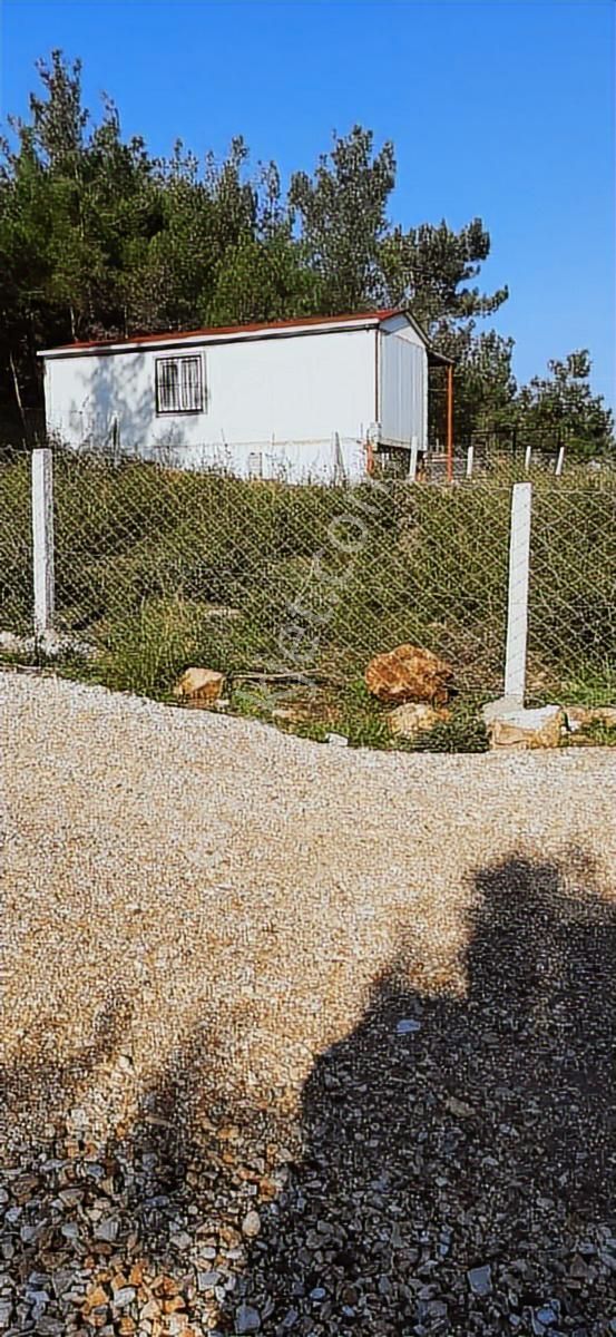 Yazıbaşında Doğa Harikası Bahçe - Görsel 23