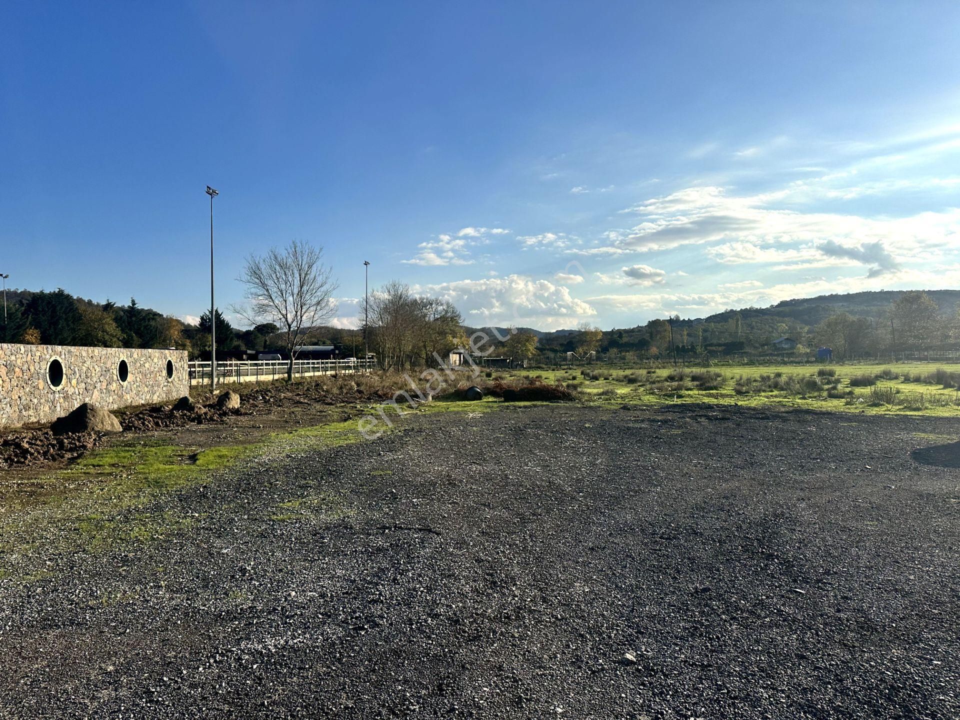 Beykoz Öğümce'de 3.516m2 Fırsat Arazi - Görsel 6