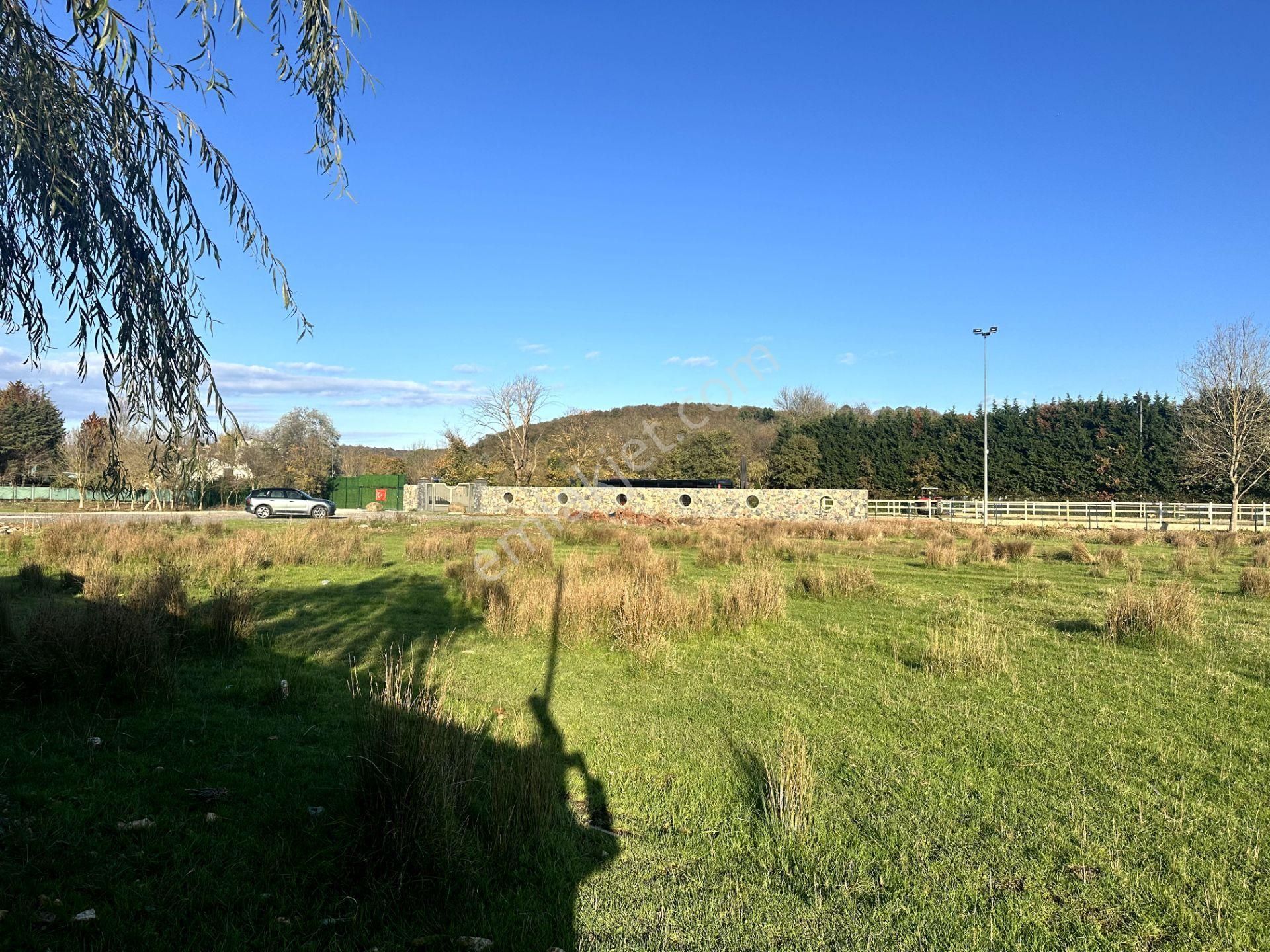 Beykoz Öğümce'de 3.516m2 Fırsat Arazi - Görsel 11