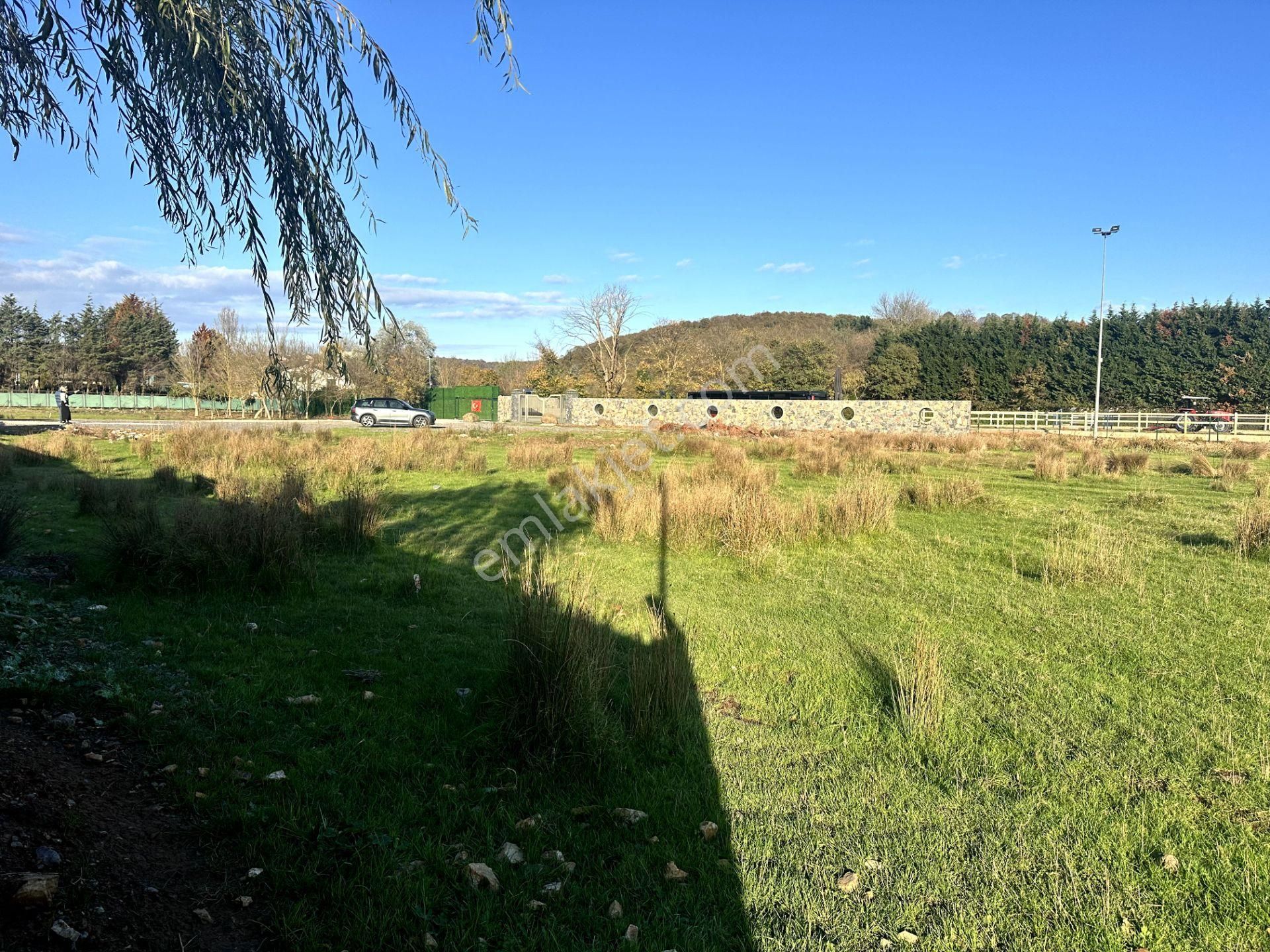 Beykoz Öğümce'de 3.516m2 Fırsat Arazi - Görsel 13