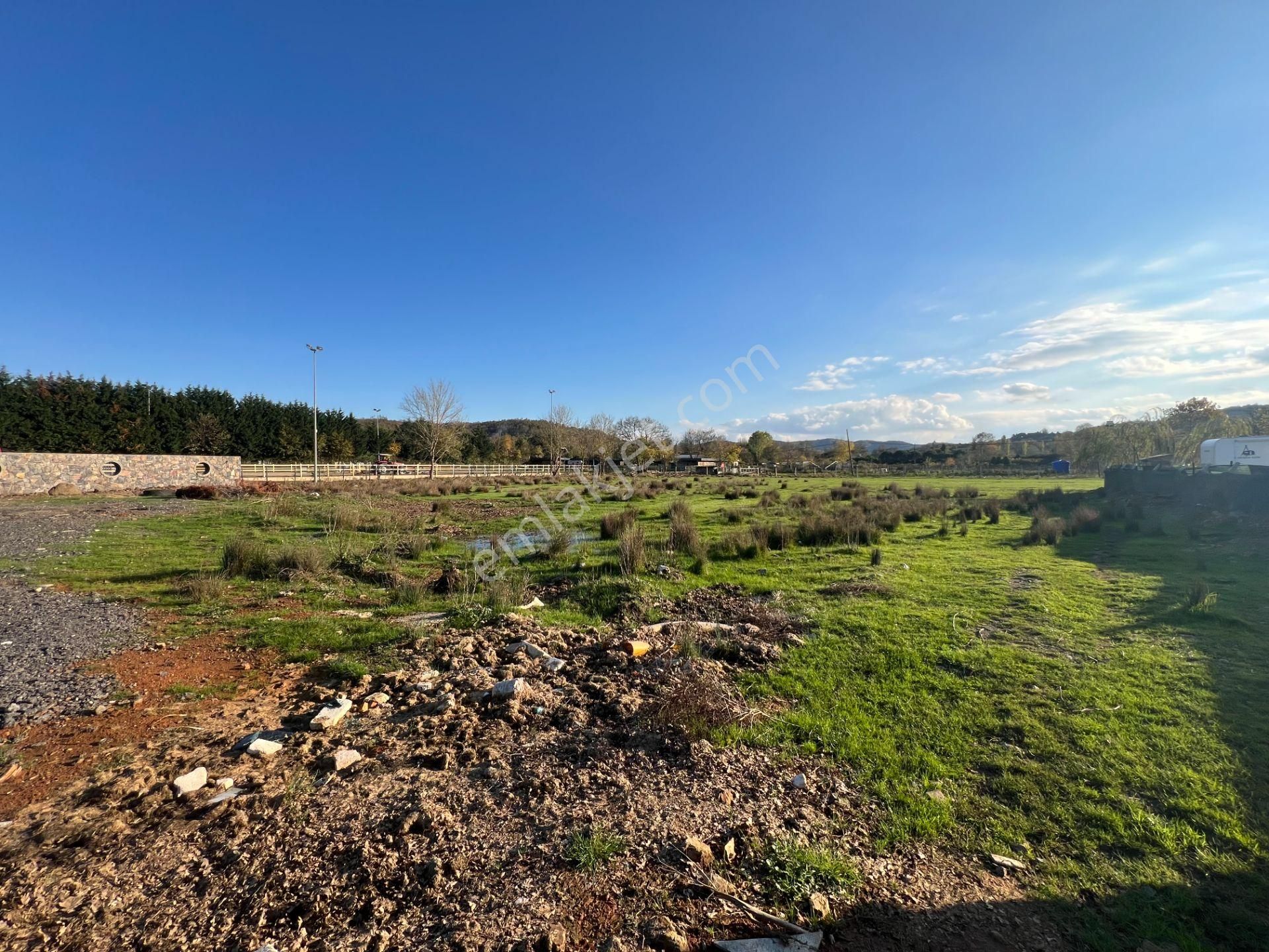 Beykoz Öğümce'de 3.516m2 Fırsat Arazi - Görsel 15