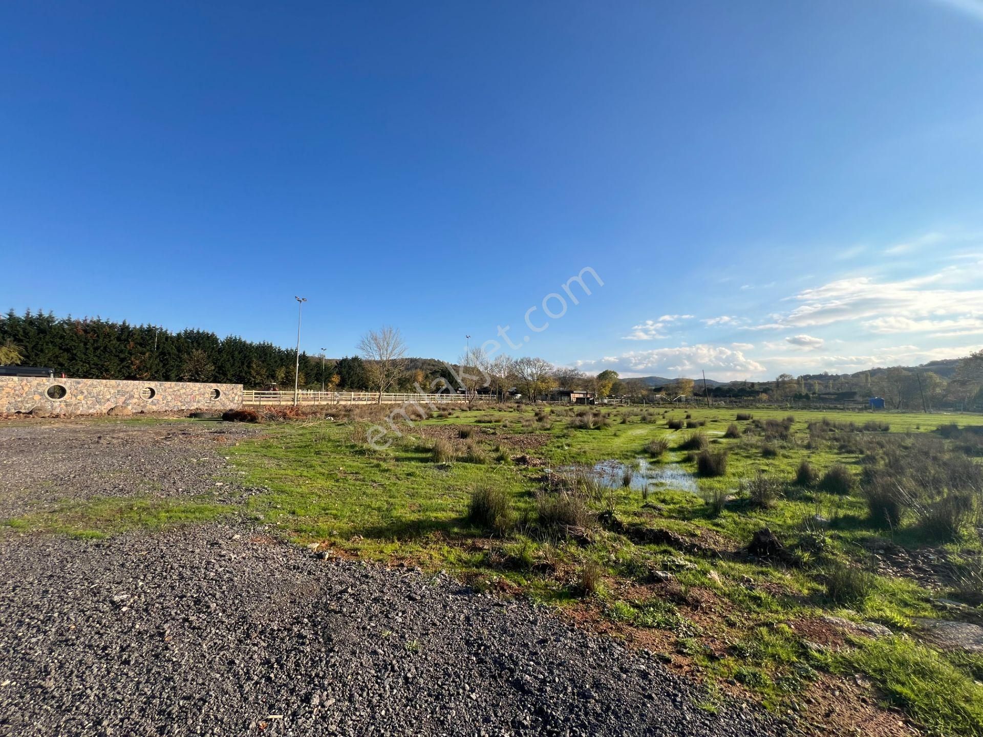 Beykoz Öğümce'de 3.516m2 Fırsat Arazi - Görsel 16