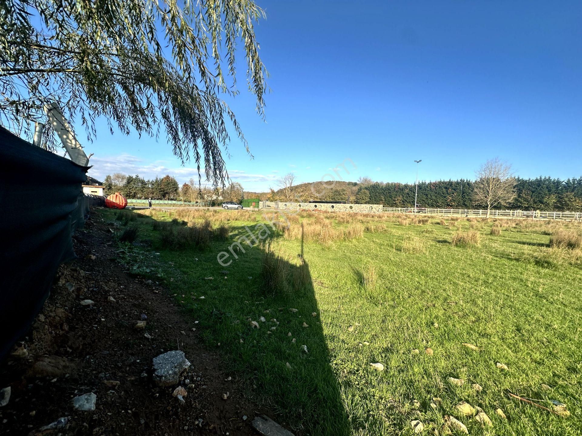 Beykoz Öğümce'de 3.516m2 Fırsat Arazi - Görsel 12