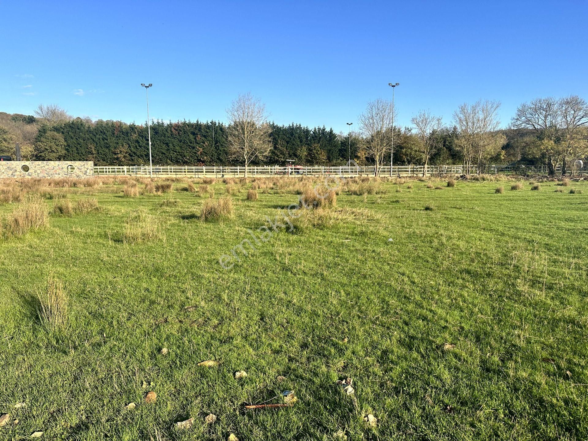 Beykoz Öğümce'de 3.516m2 Fırsat Arazi - Görsel 14