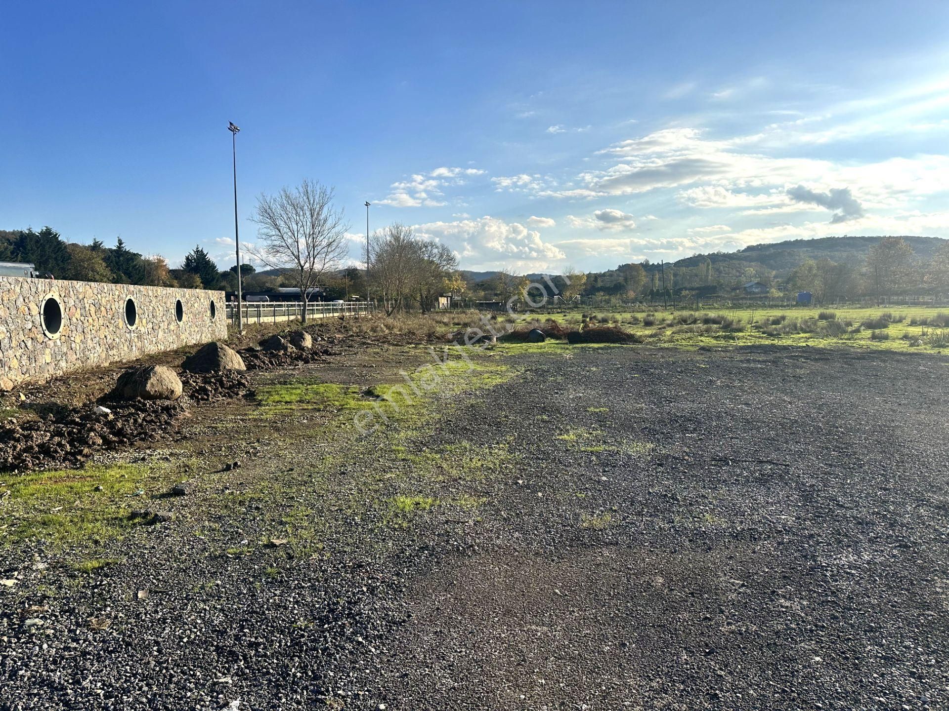 Beykoz Öğümce'de 3.516m2 Fırsat Arazi - Görsel 5