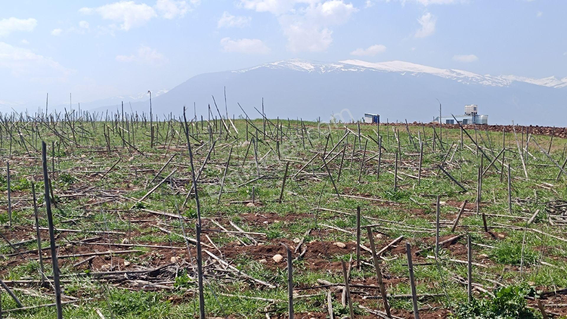Rt Safir'den İnegöl Halhalcada Kadastrol Yola 116 Metre Cephe Satılık Arazi - Görsel 4