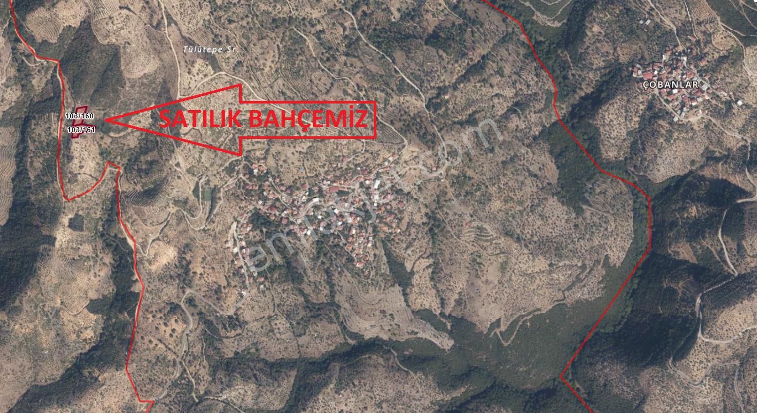 Gözdeden Sultanhisar Demirhanda Satılık İncir Bahçesi... - Görsel 4