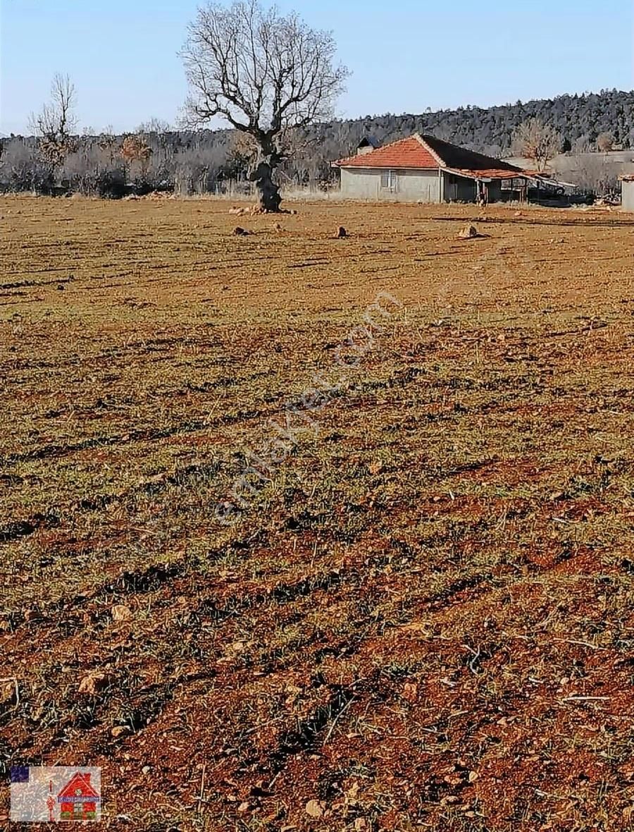 Beyağaç Yaylasında 38 Dönüm Satılık Fırsat Tarla - Görsel 5