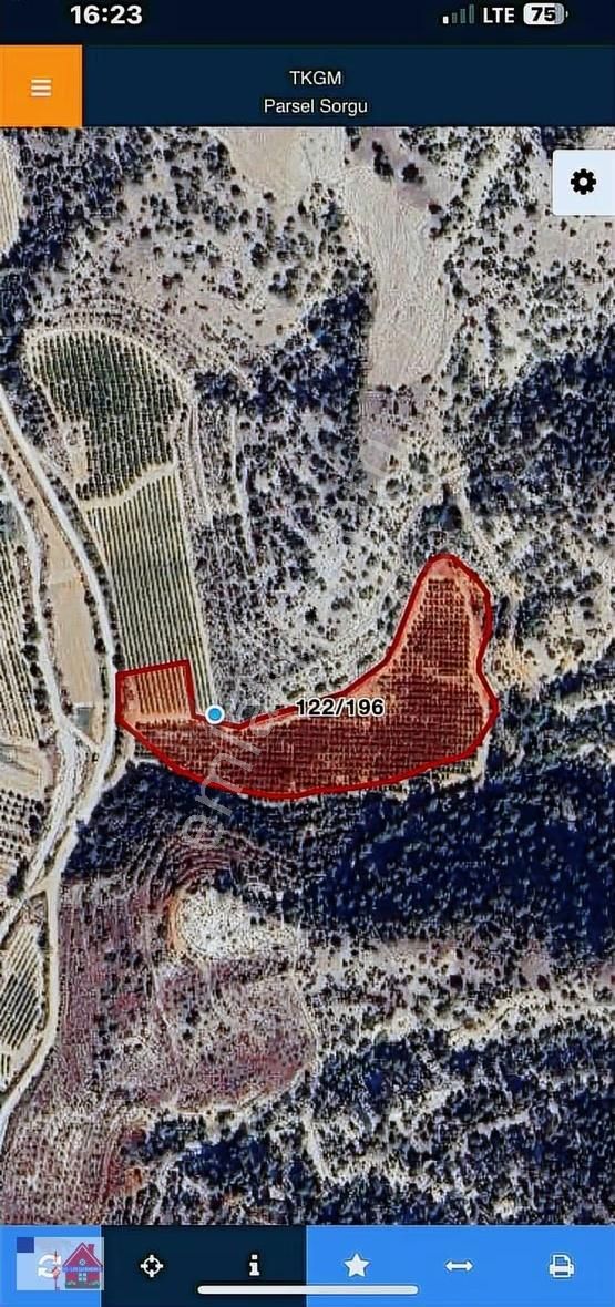 Buldan Yenicekentte 21 Dönüm Fırsat Bağ Ve Nar Tarlası - Görsel 22