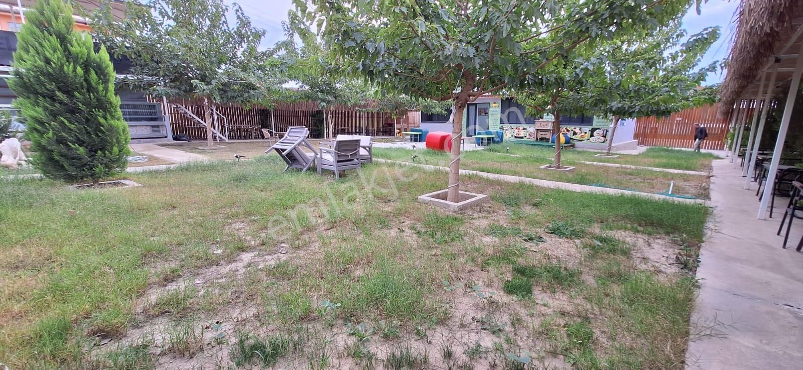 Didim Apollon Tapınağı Mevkiinde Kiralık İş Yeri - Görsel 5