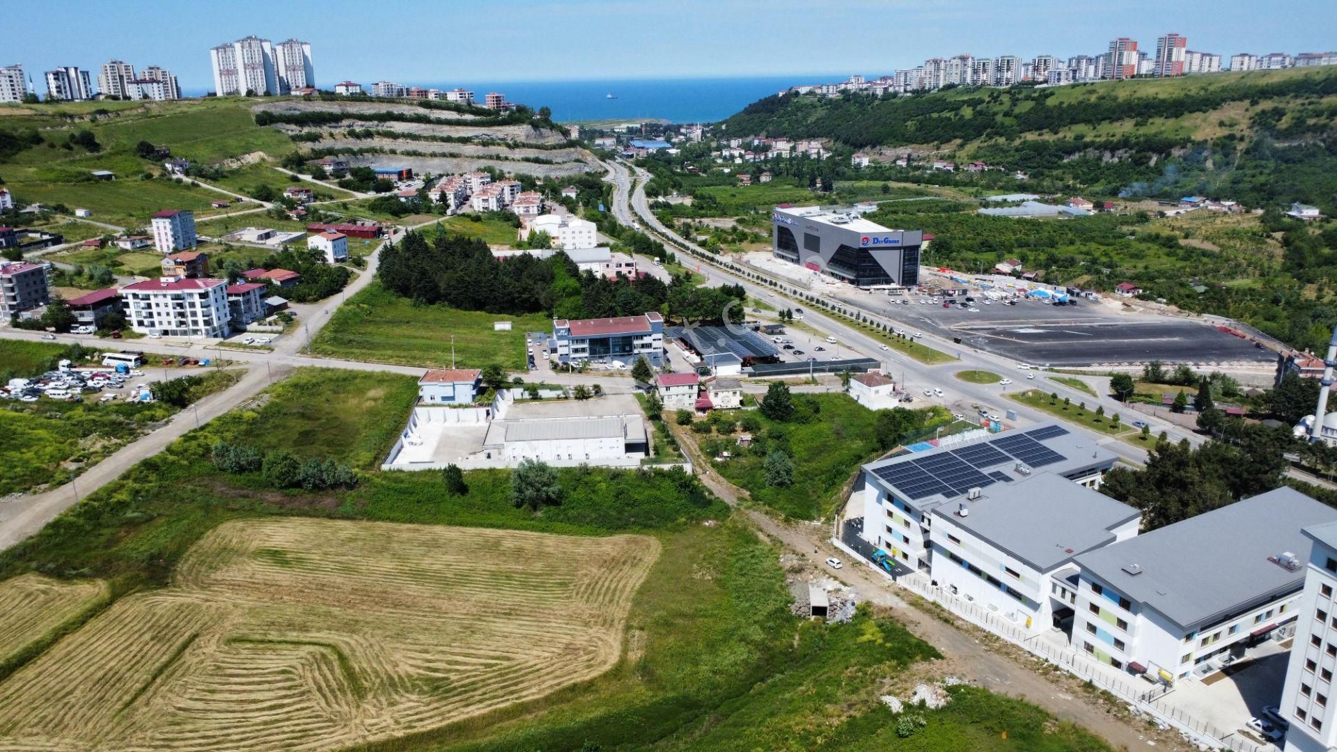 Hisar'dan Büyükkolpınarda 800 M2 4kata İmarlı Kat Karşılığı Arsa - Görsel 19