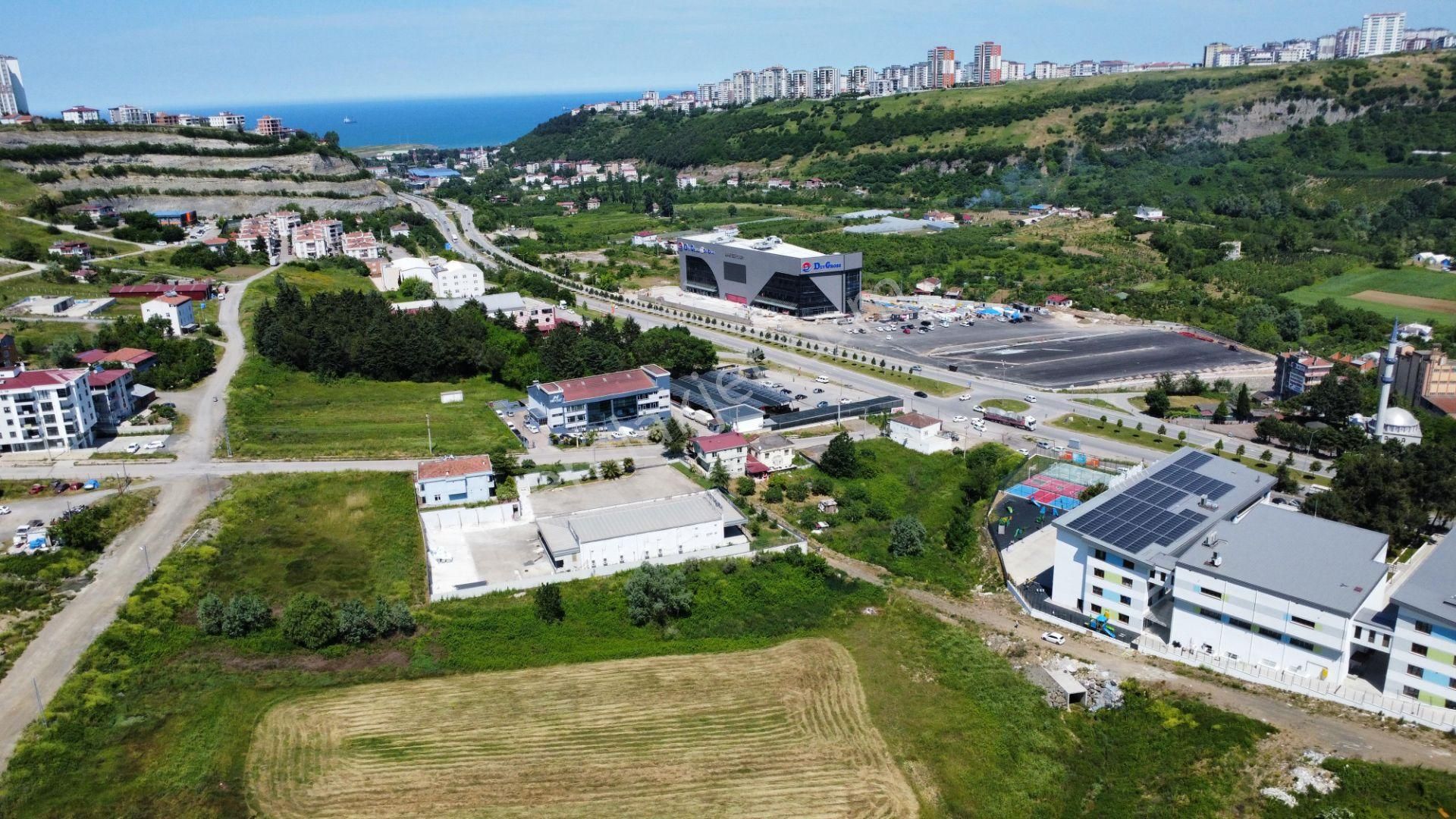 Hisar'dan Büyükkolpınarda 800 M2 4kata İmarlı Kat Karşılığı Arsa - Görsel 2