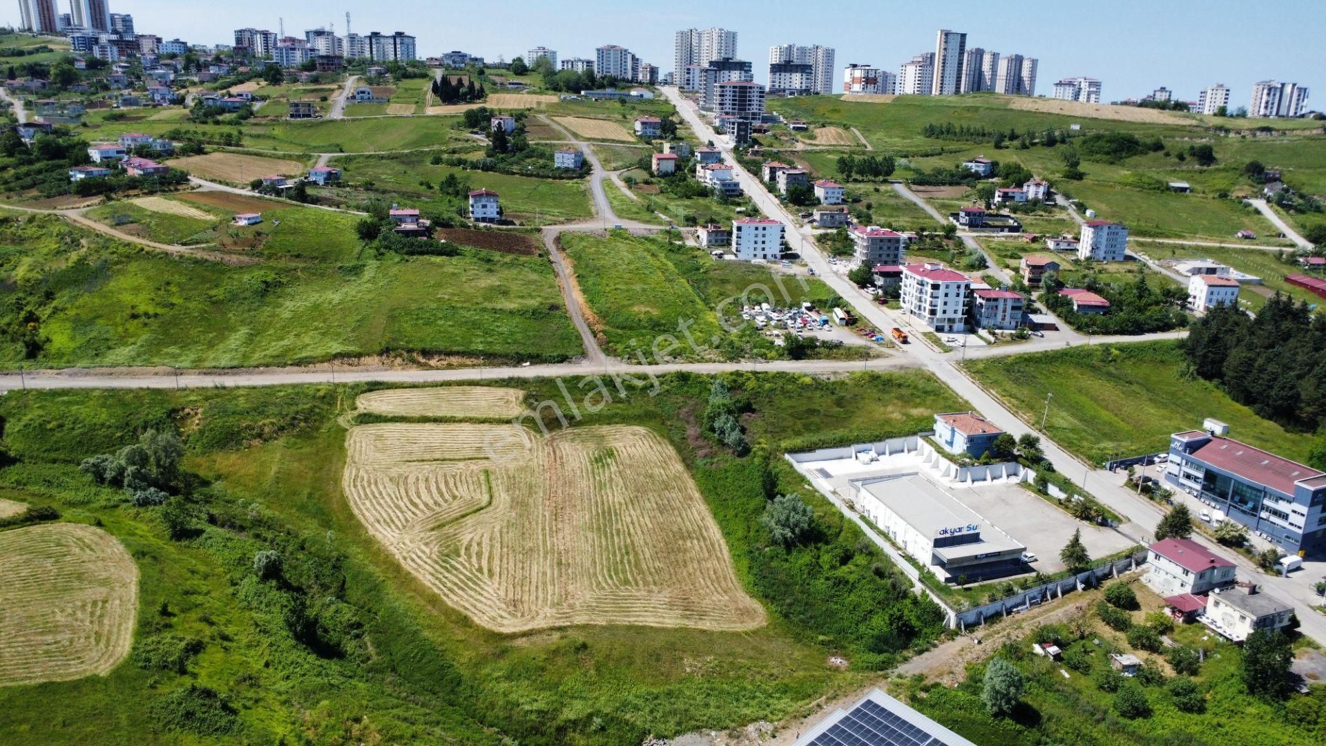 Hisar'dan Büyükkolpınarda 800 M2 4kata İmarlı Kat Karşılığı Arsa - Görsel 4