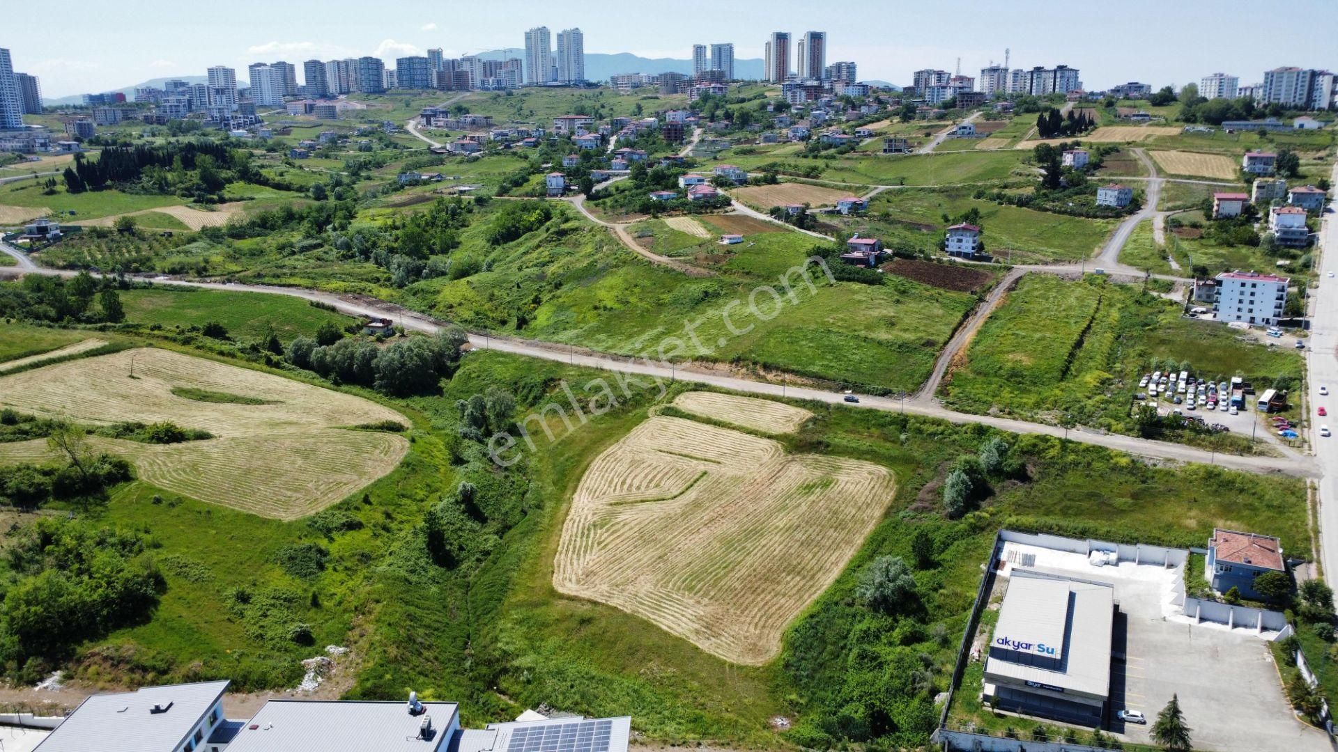 Hisar'dan Büyükkolpınarda 800 M2 4kata İmarlı Kat Karşılığı Arsa - Görsel 10