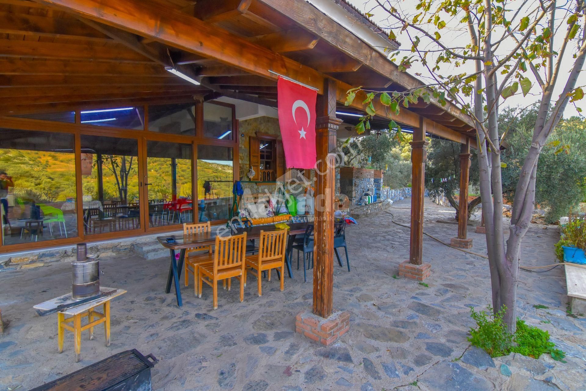 Selçuk Şirince Yolu Üzerinde Satılık Zeytin Ve İncir Bahçesi - Görsel 10