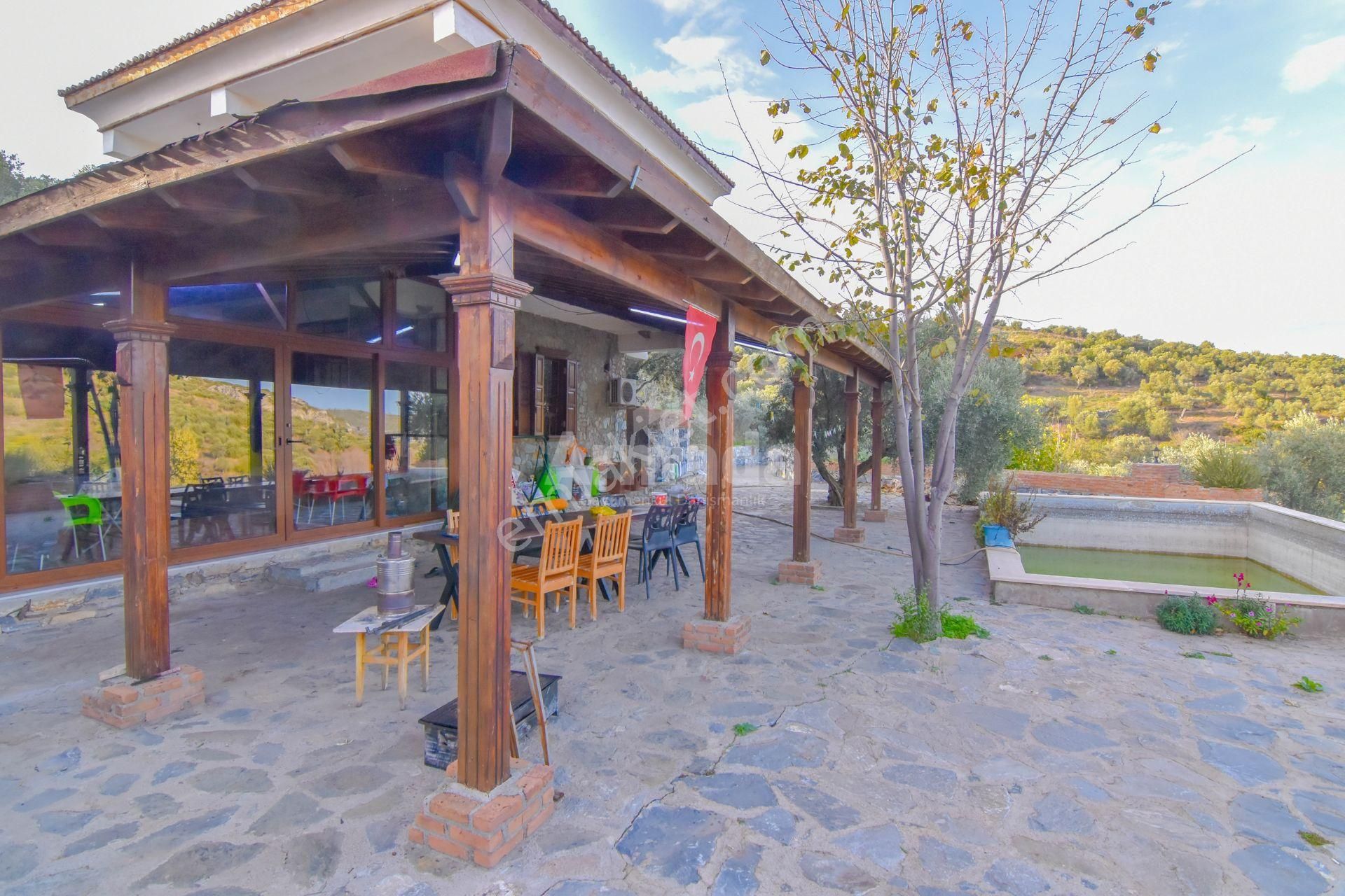 Selçuk Şirince Yolu Üzerinde Satılık Zeytin Ve İncir Bahçesi - Görsel 8