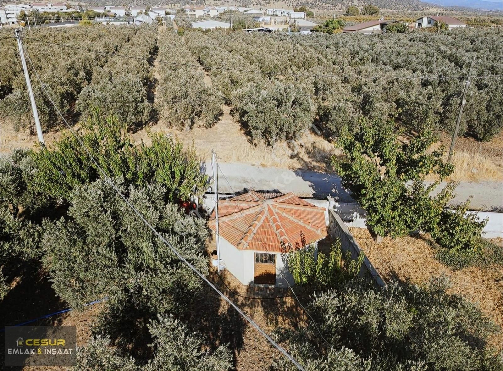 Dikili Bahçelide Ana Yola Sıfır Dubleks Konut Ve Tarla - Görsel 28