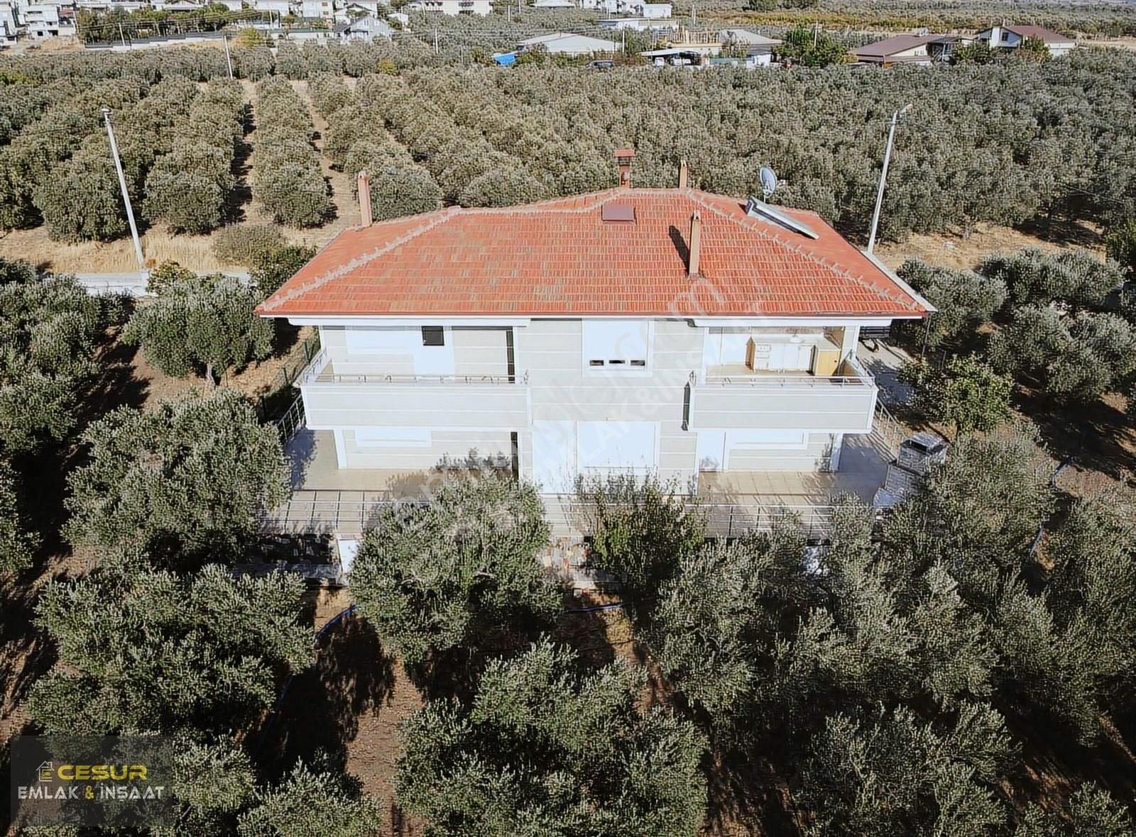 Dikili Bahçelide Ana Yola Sıfır Dubleks Konut Ve Tarla