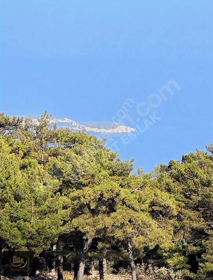 Beycik Yaylasında Satılık Tarla - Görsel 6