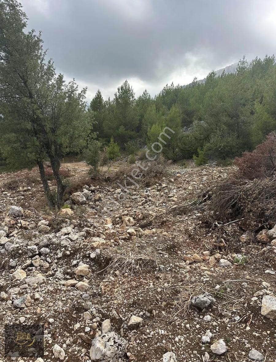 Beycik Yaylasında Satılık Tarla