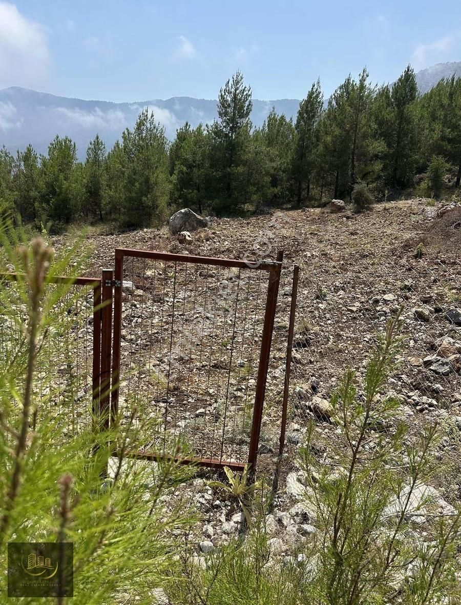 Beycik Yaylasında Satılık Tarla - Görsel 9