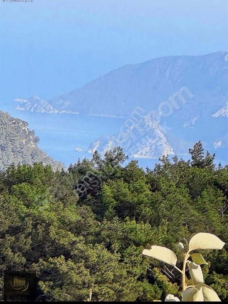 Beycik Yaylasında Satılık Tarla - Görsel 4