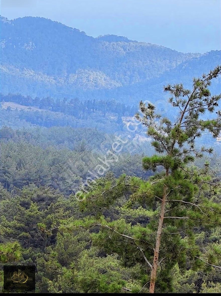 Beycik Yaylasında Satılık Tarla - Görsel 2