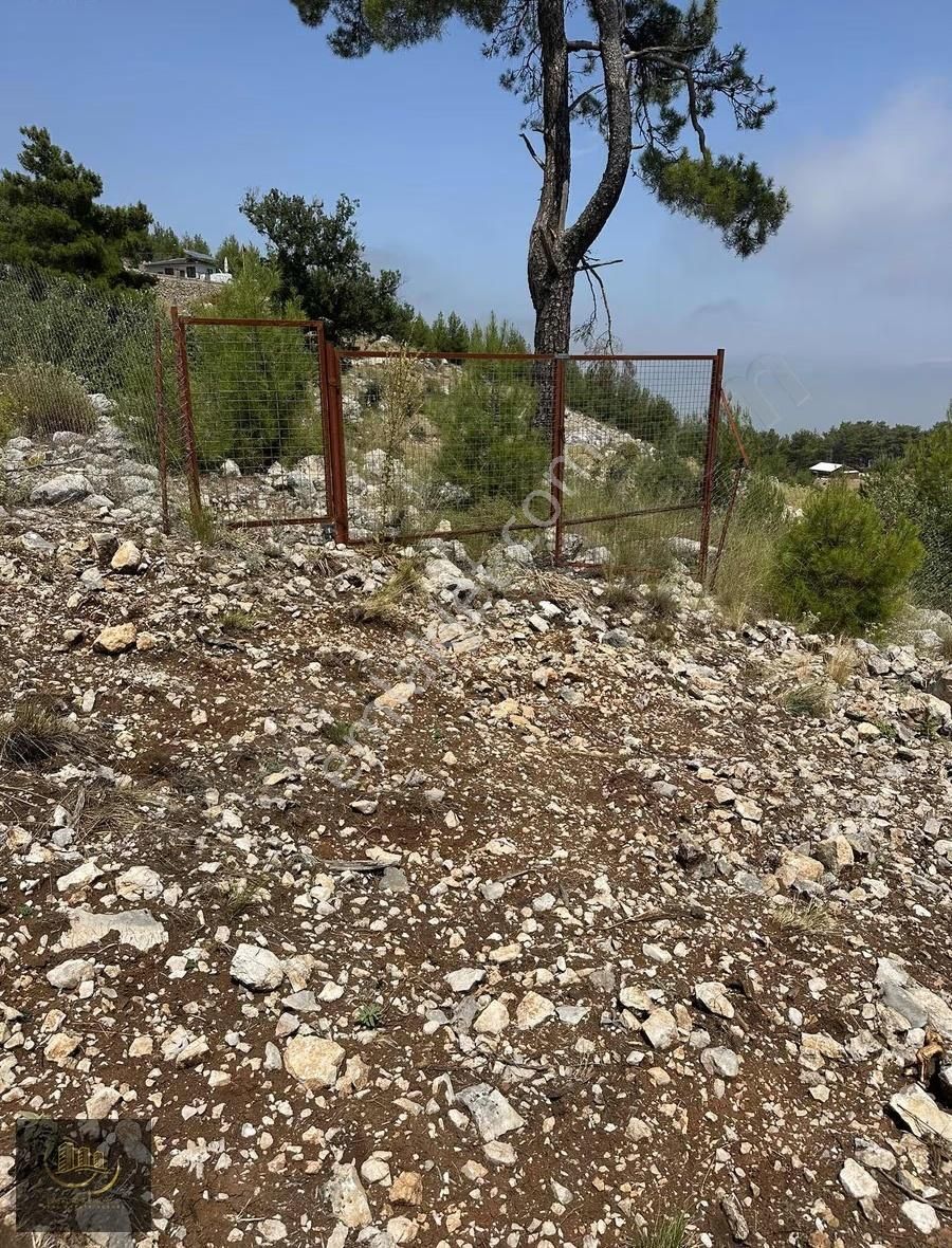 Beycik Yaylasında Satılık Tarla - Görsel 3