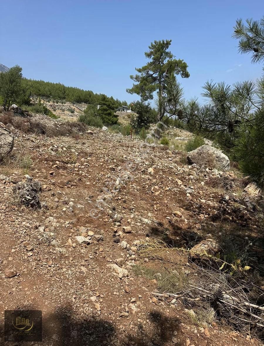 Beycik Yaylasında Satılık Tarla - Görsel 8