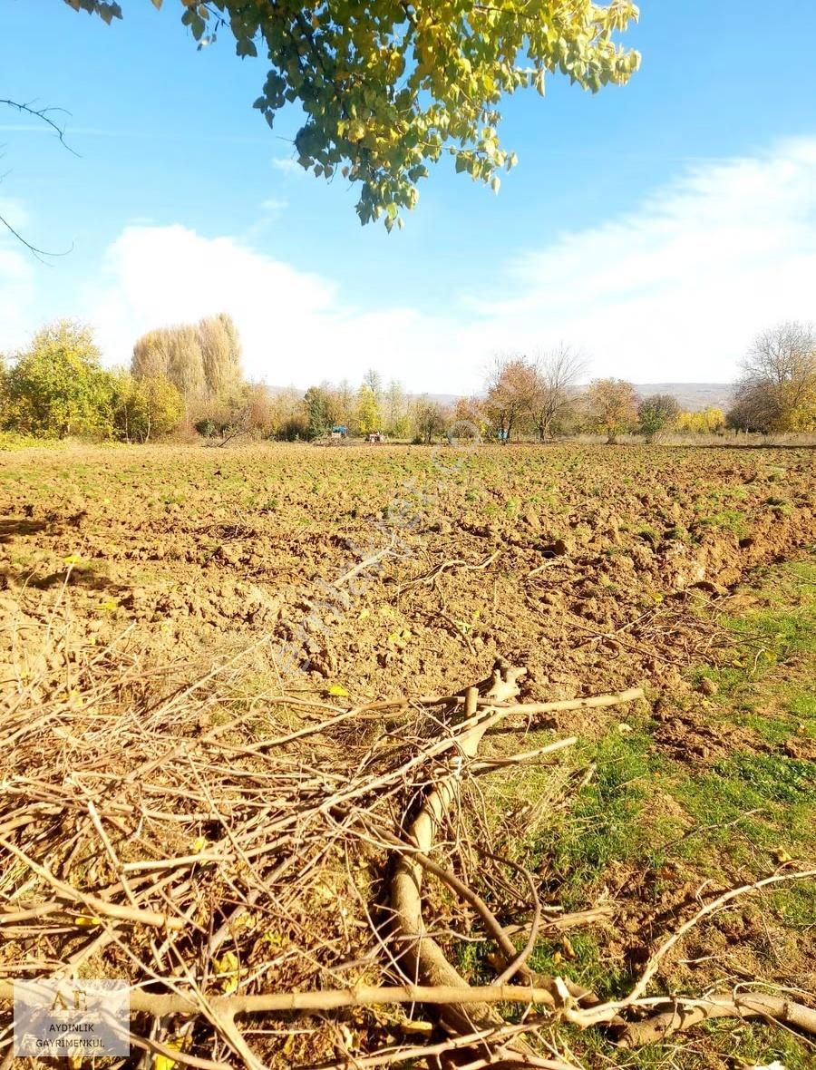 İnegöl Kınık Mahallesinde Satılık 5. 600m² Tarla - Görsel 2