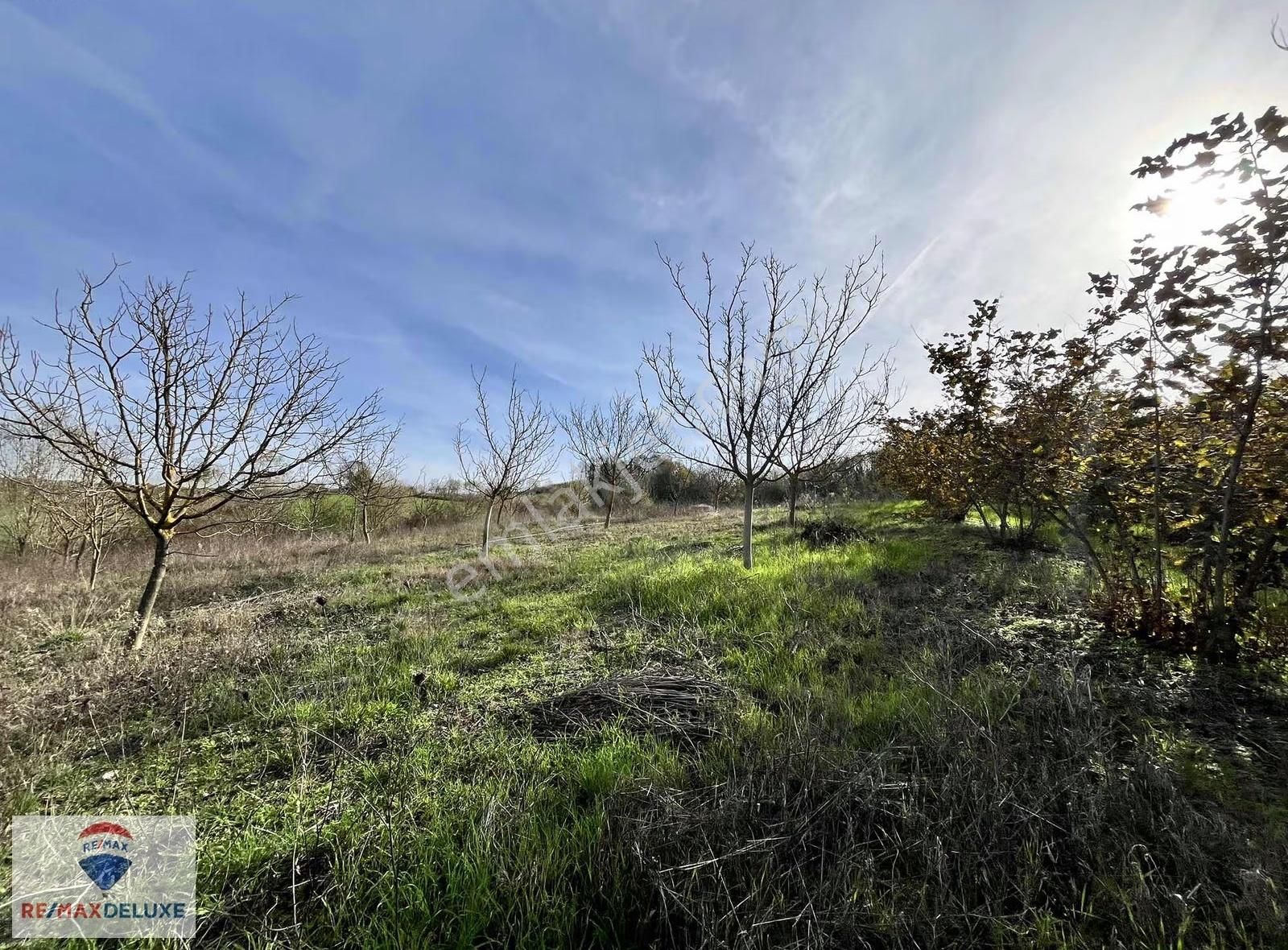 Terziler'de Satılık Yola Parsel 8.895 M2 Arazi - Görsel 4