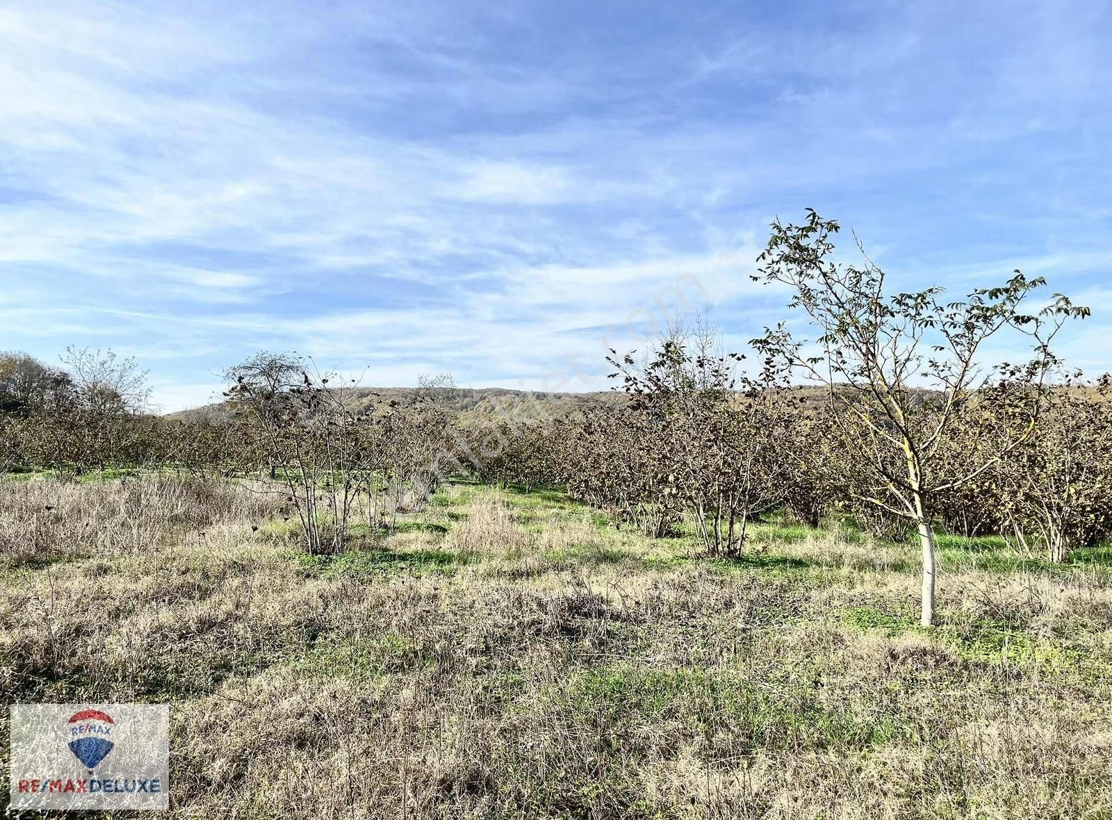 Terziler'de Satılık Yola Parsel 8.895 M2 Arazi - Görsel 5