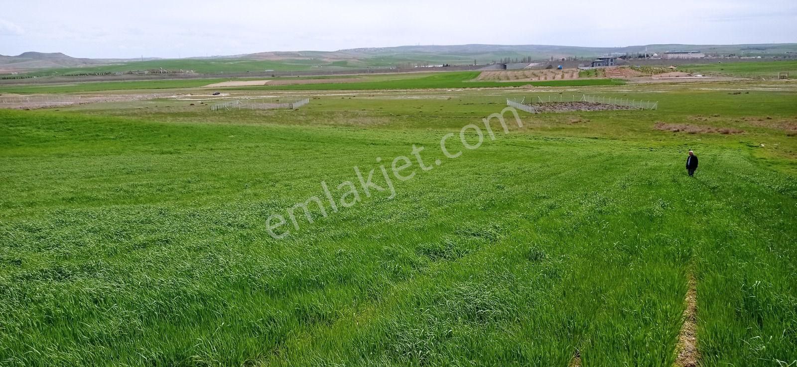 My Ekip Bursa Karacabey Teknosab Subaşı Yatirim Merkezi. - Görsel 33