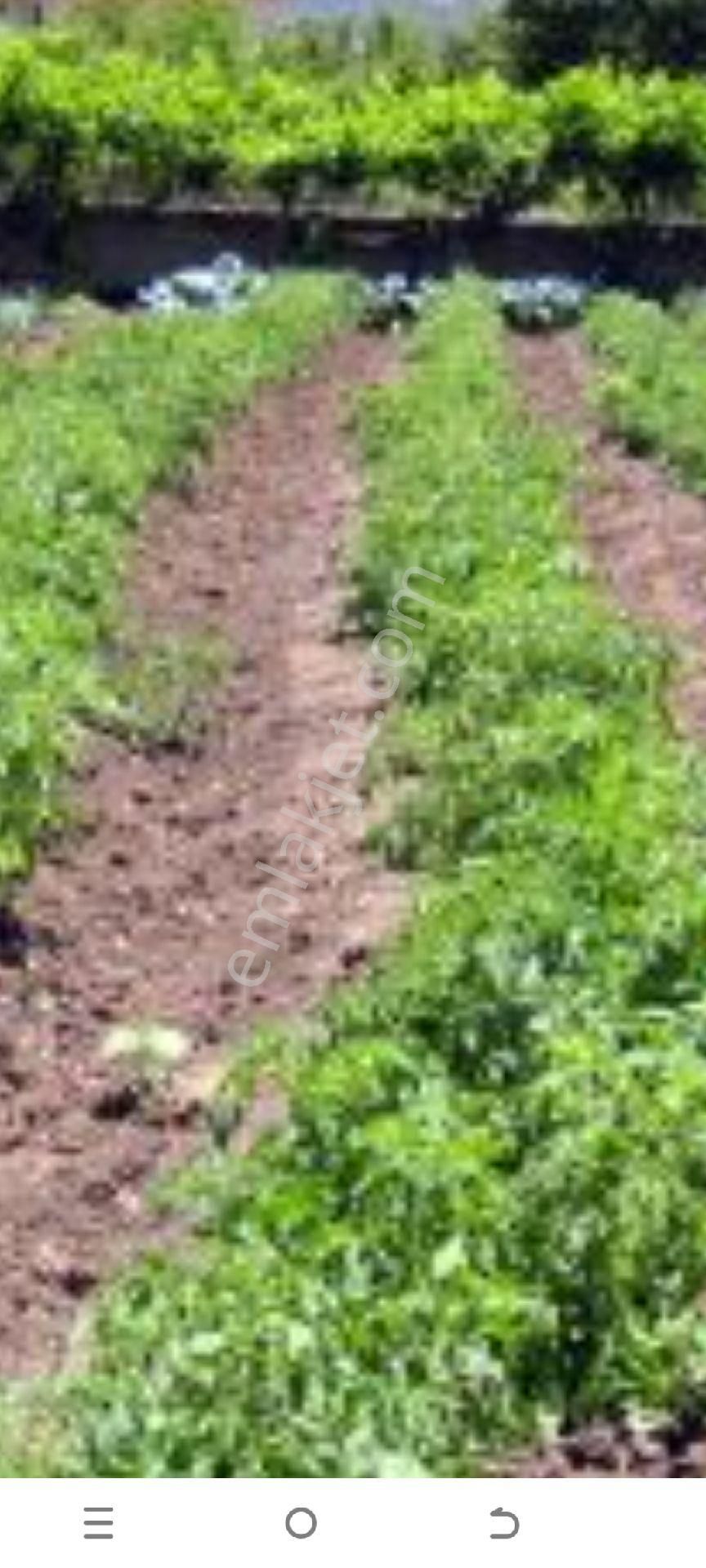 My Ekip Bursa Karacabey Teknosab Subaşı Yatirim Merkezi. - Görsel 27