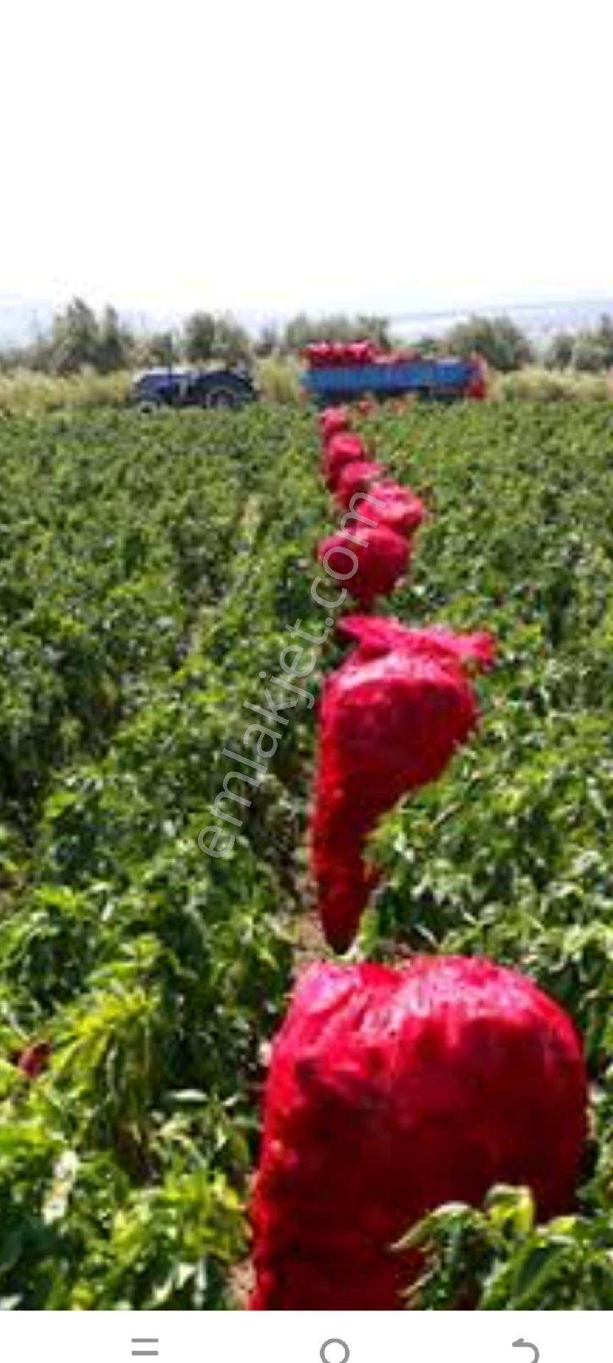 My Ekip Bursa Karacabey Teknosab Subaşı Yatirim Merkezi. - Görsel 24