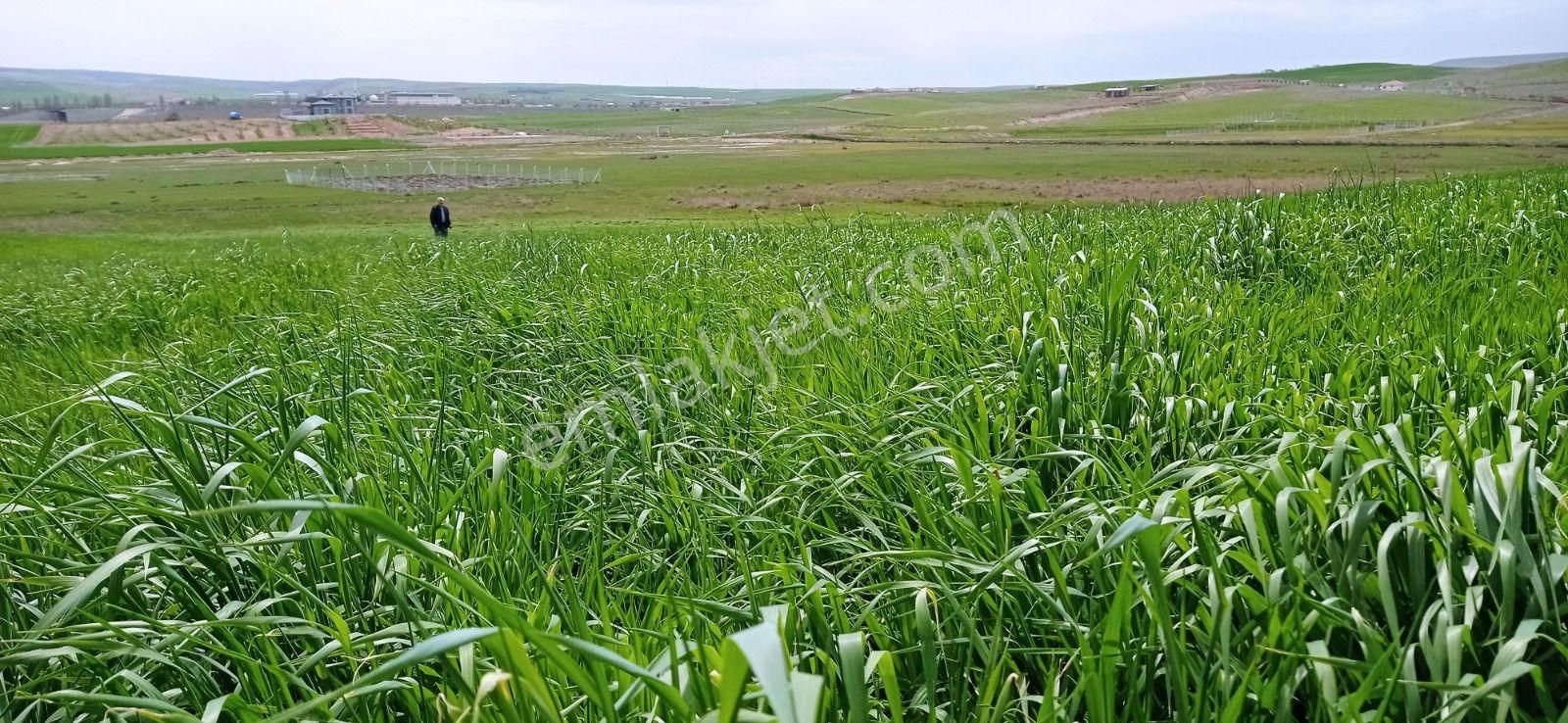 My Ekip Bursa Karacabey Teknosab Subaşı Yatirim Merkezi. - Görsel 29