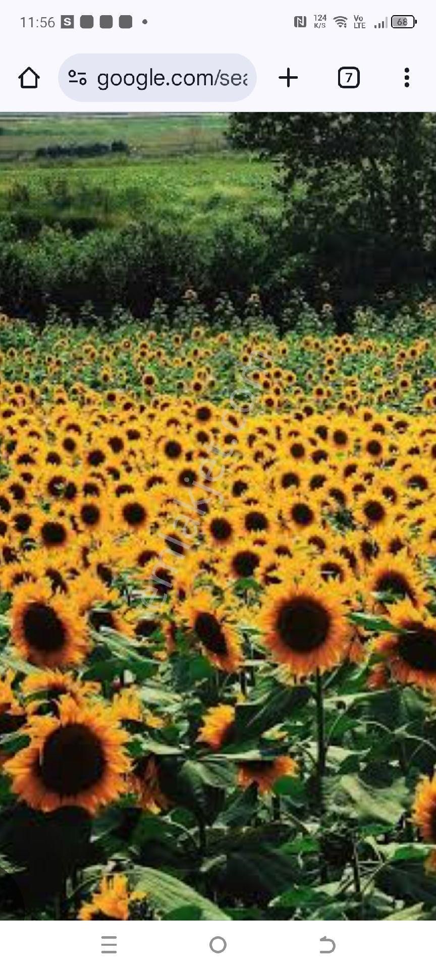 My Ekip Bursa Karacabey Teknosab Subaşı Yatirim Merkezi. - Görsel 23