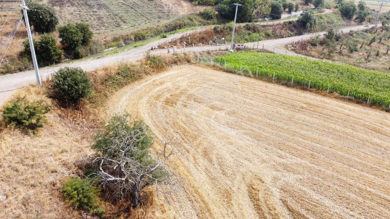 Burhan Ardıç'tan Karacabey Eskikaraağaç 11.100 M2 Göl Kıyısı - Görsel 7