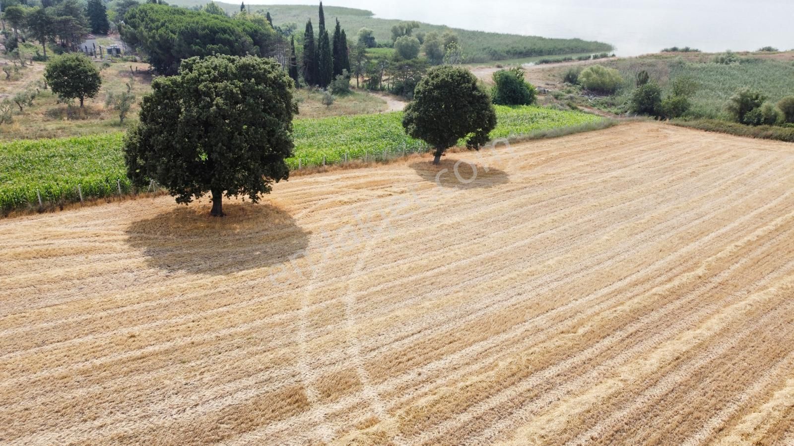 Burhan Ardıç'tan Karacabey Eskikaraağaç 11.100 M2 Göl Kıyısı - Görsel 6